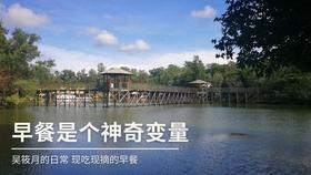 美人鱼游玩